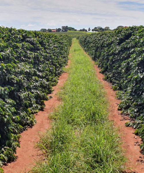 PHOTO-2022-01-24-08-43-24